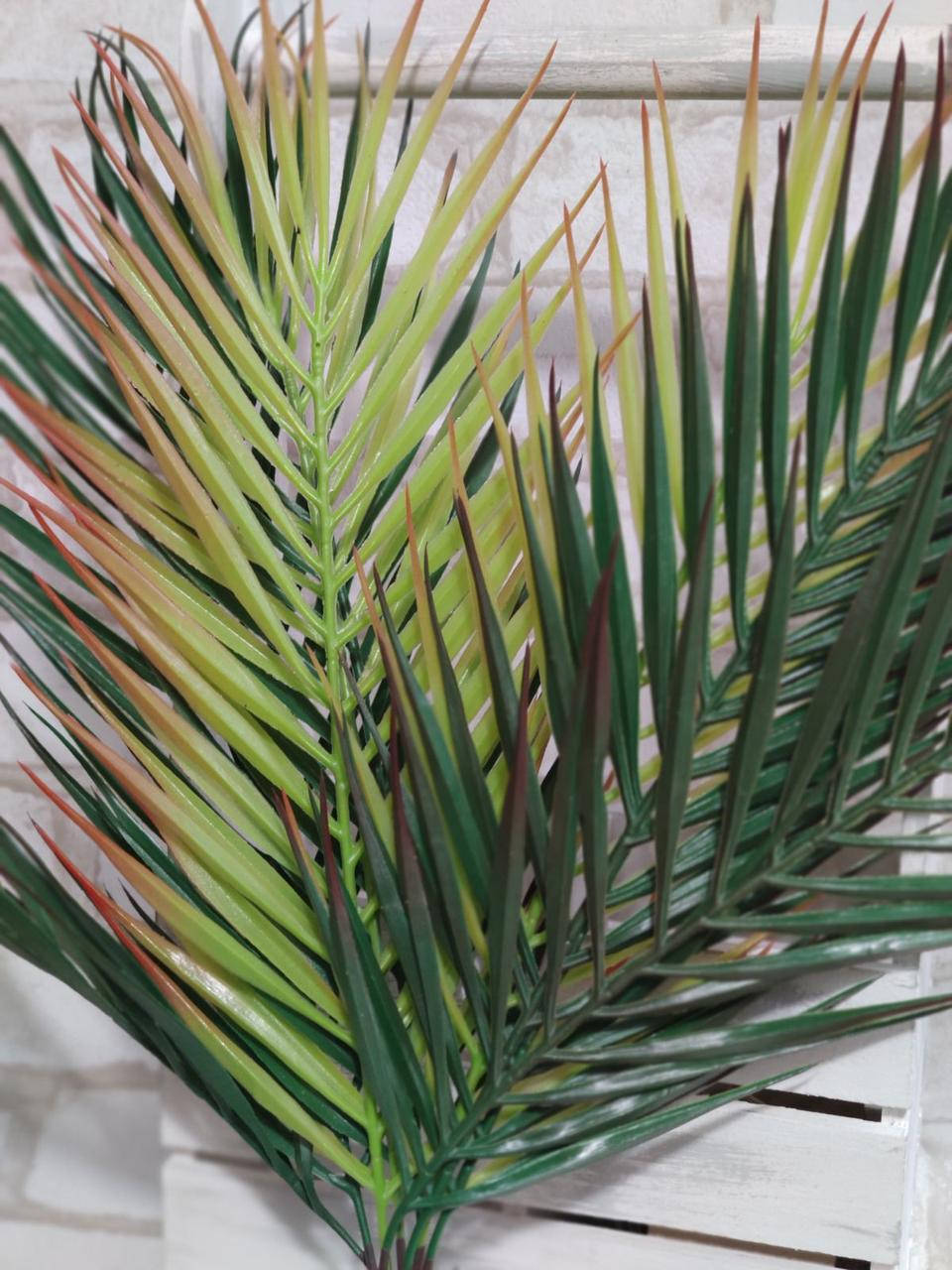 

Пальмовые ветки h-49см. 9 веток, 155/135 грн (цена за 1шт.+20грн.)