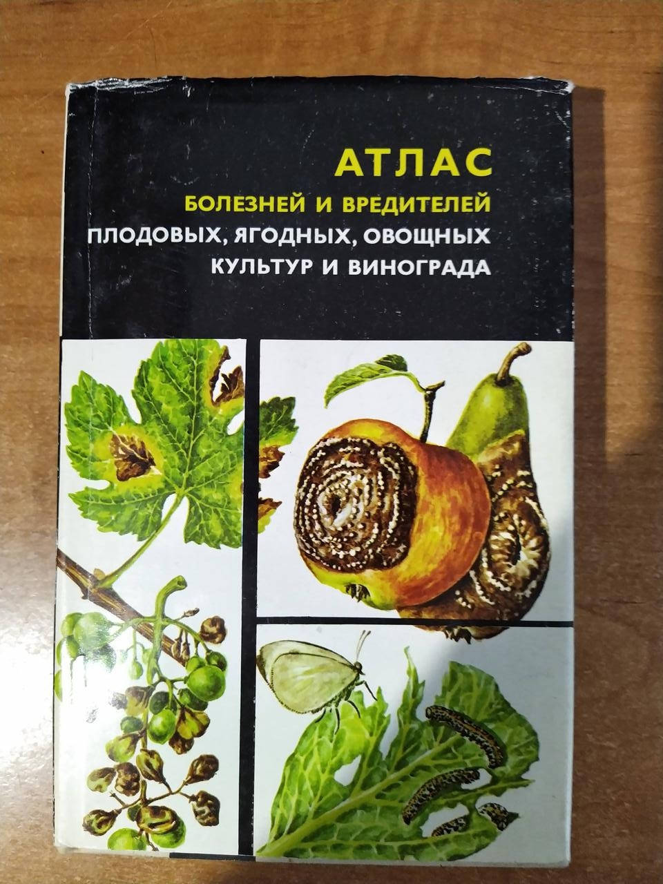 

Атлас болезней и вредителей плодовых, ягодных, овощных культур и винограда