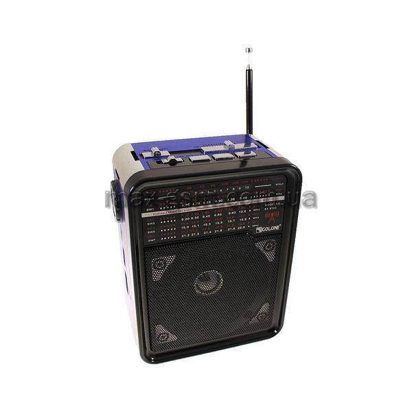

Колонка Golon RX-9100