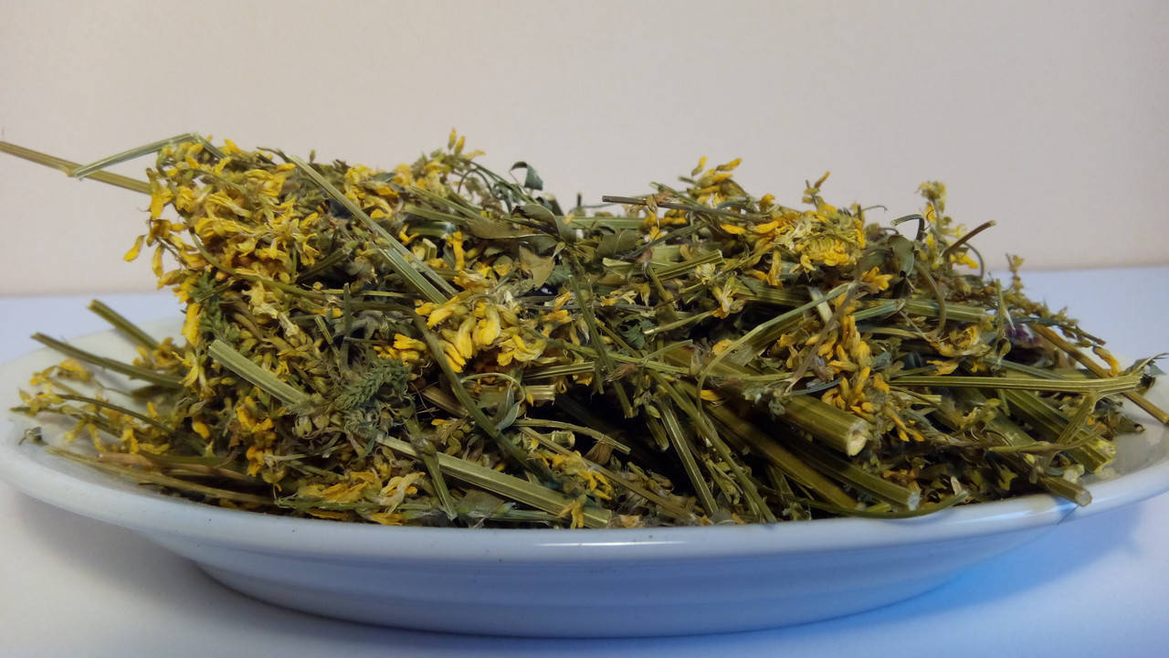 

Донник лекарственный(буркун)