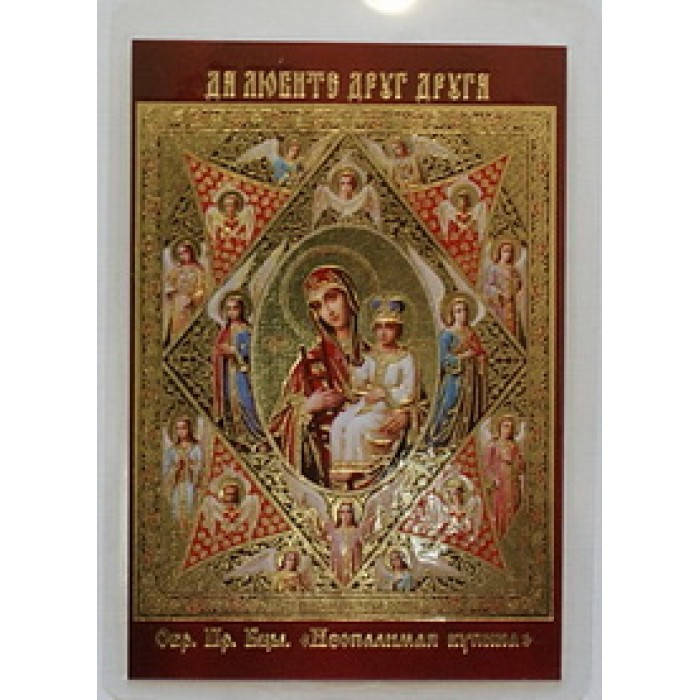 

НЕОПАЛИМАЯ КУПИНА икона ламин 6*9 453