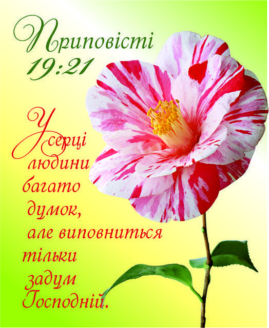 

Міні-листівка: У серці людини багато думок, але виповниться тільки задум Господній. # 150