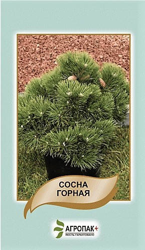 

Семена Сосна горная 0,1г Агропак