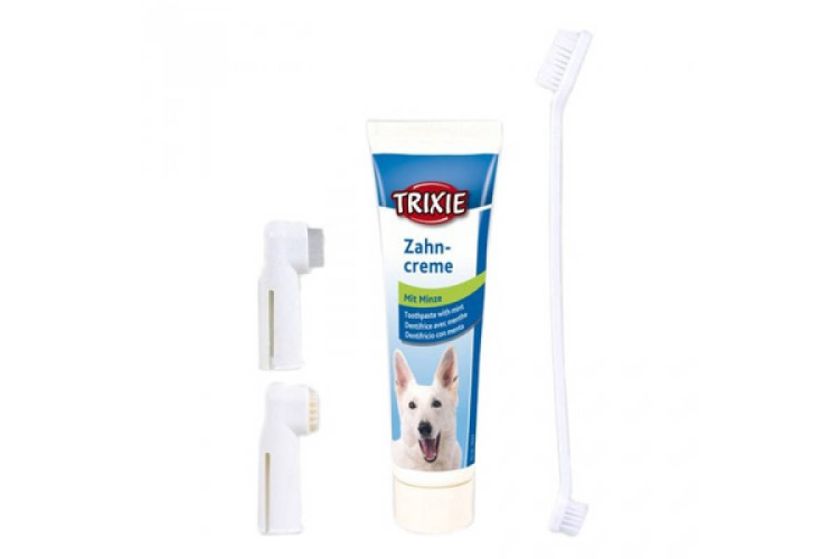 

Средство по уходу за зубами собак Trixie 100 г