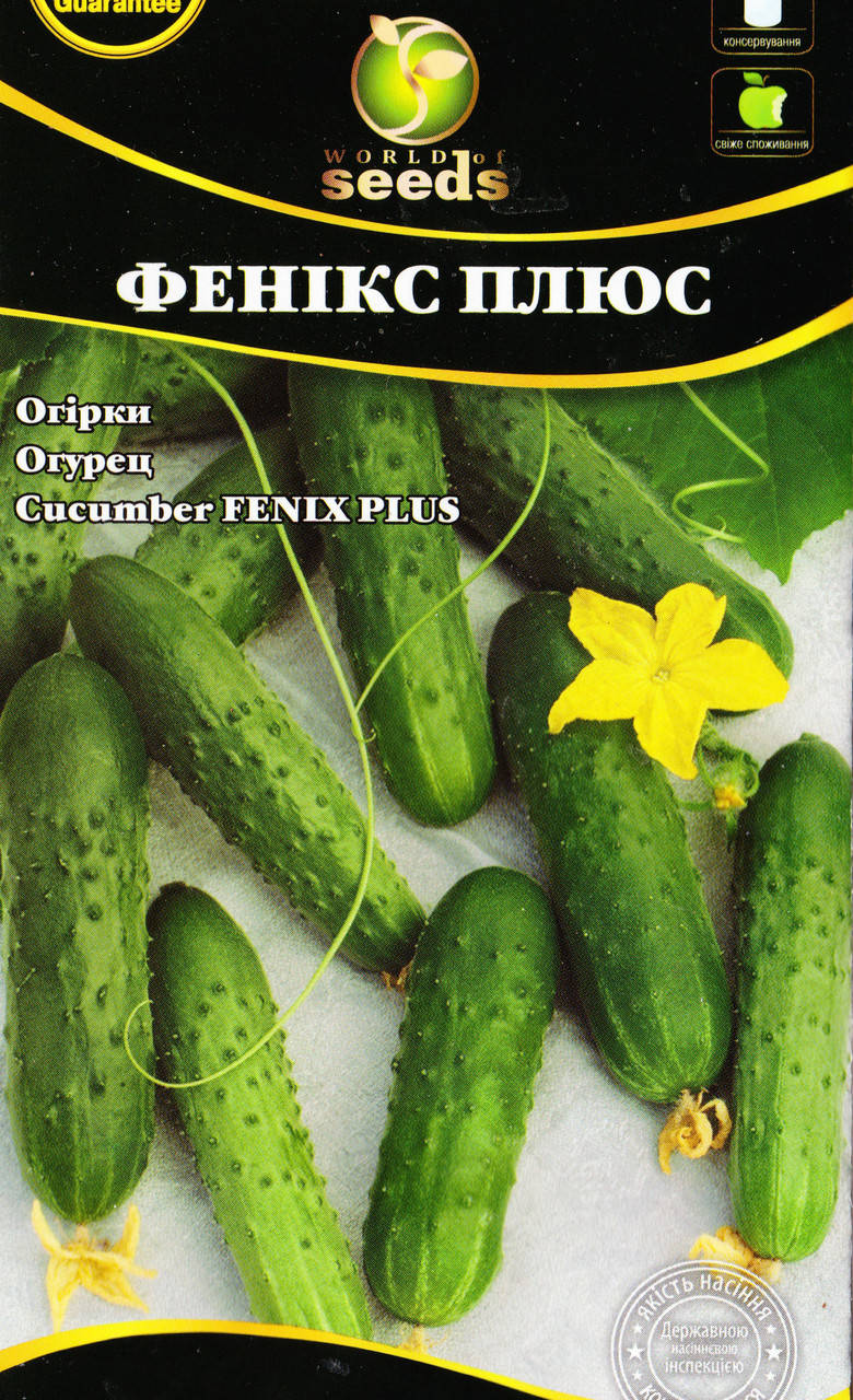 

Семена Огурец Феникс 0.5 г