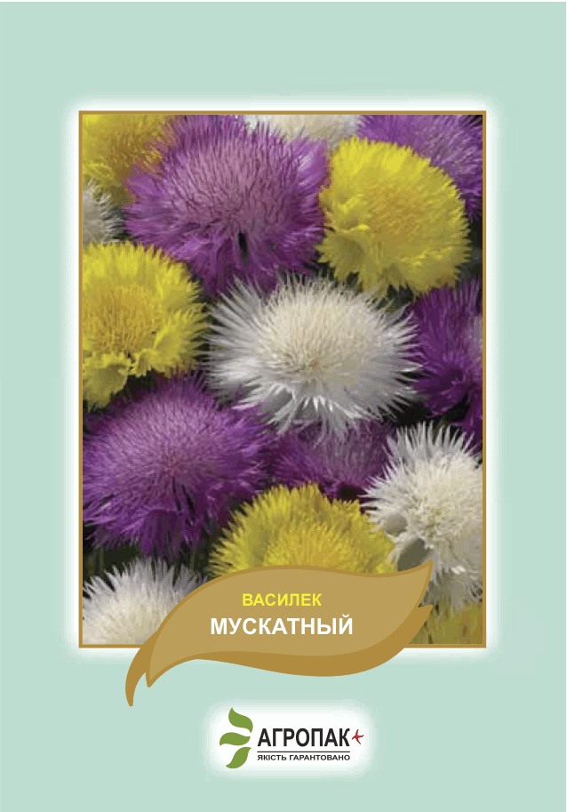 

Семена цветов Василек Мускатный Агропак, Разные цвета