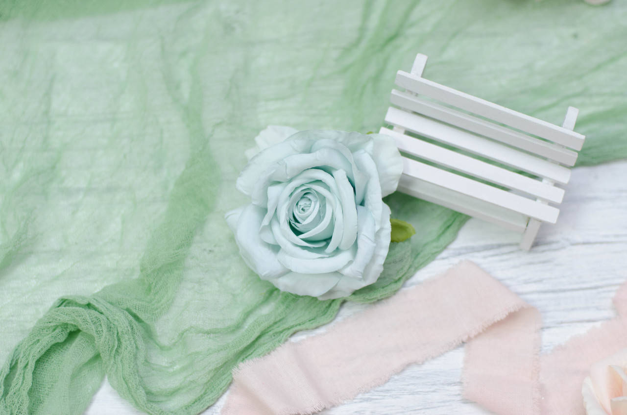 

Головка розы открытой. нежный мятный