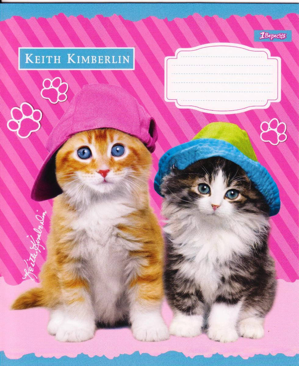 

Тетради школьные 12 л. косая линия "Keith Kimberlin" 764450