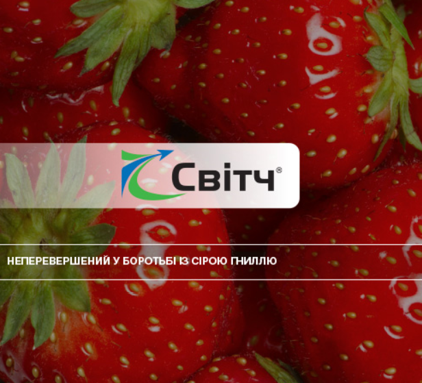 

Фунгицид СВИТЧ 62.5 WG в.г. Syngenta 50 г (весовой)