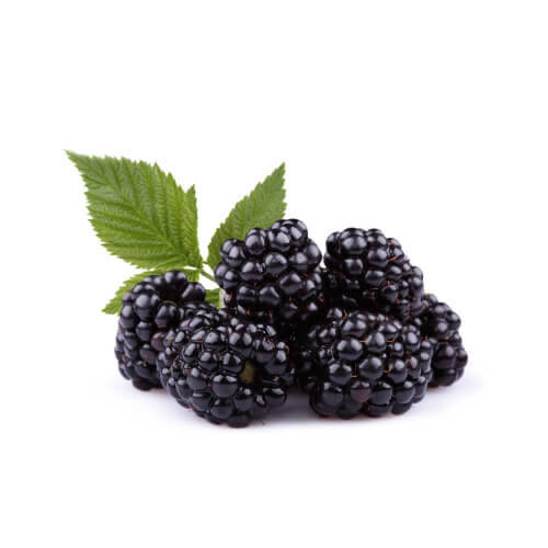 

Ежевика свежая