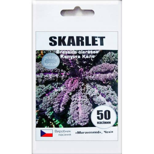 

Насіння капуста кале Скарлет (Skarlet) 50 шт 200452