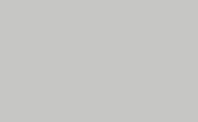 

Фон бумажный BD 2,72 х 11,0 м Светло Серый (Blu-Grey) BD102A1
