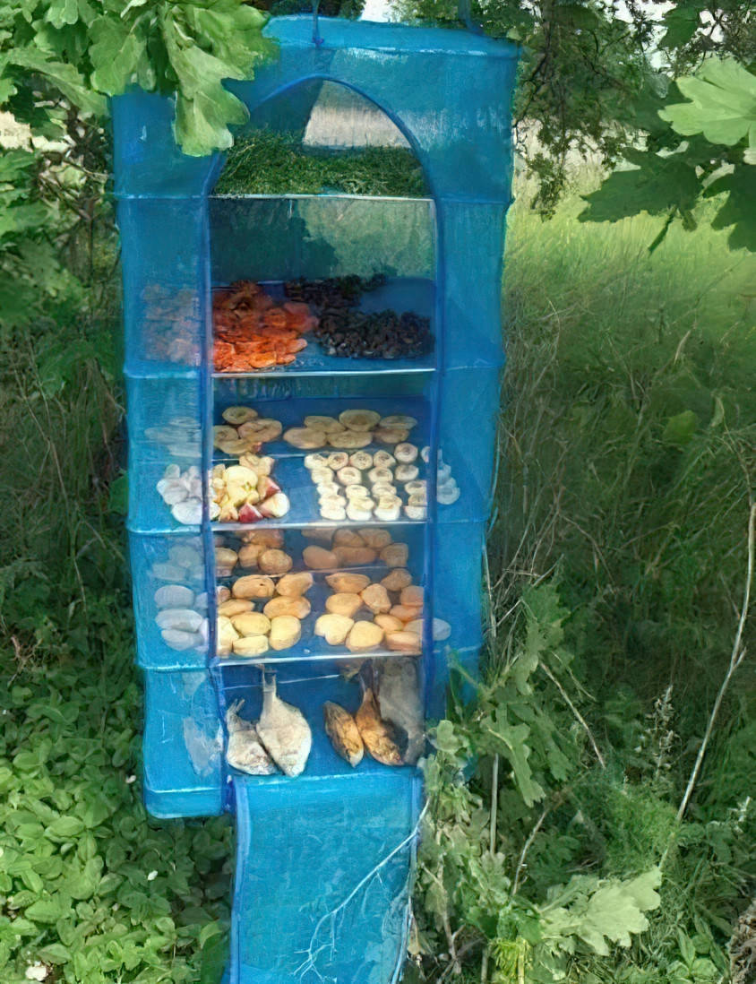 

Сетка для сушки овощей, фруктов, ягод, рыбы на 5 полки Синяя 50х50х66 см | сітка для сушки риби, фруктів (NS)