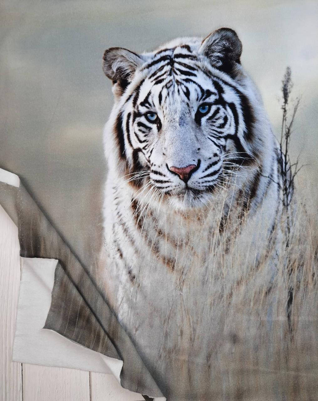 

Футер двунитка "Тигр" купон 70х180см (диджитал)