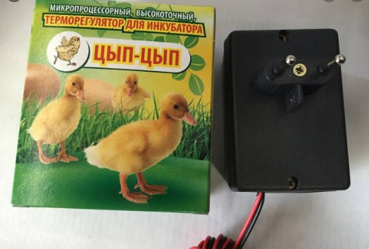 

Терморегулятор для инкубатора цифровой Цып-Цып 10 А