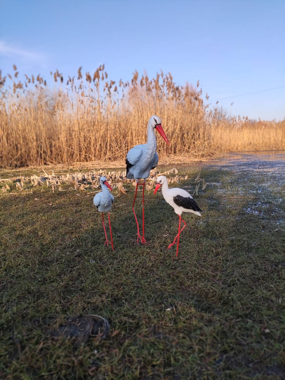 

"Семья аистов" комплект №5. декоративная садовая фигура., Белый