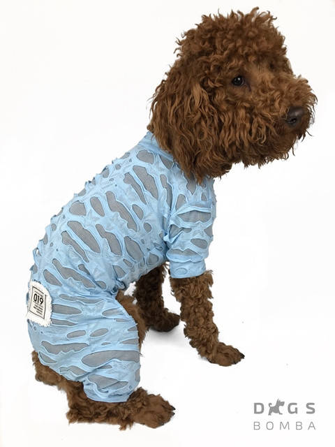 

Костюм сетка Dogs Bomba голубой Для собак