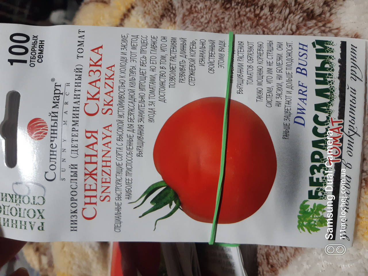 

Томат безрассадный Снежная сказка, бастрорастущий сорт устойчив к холоду и засухе. 100 семян.