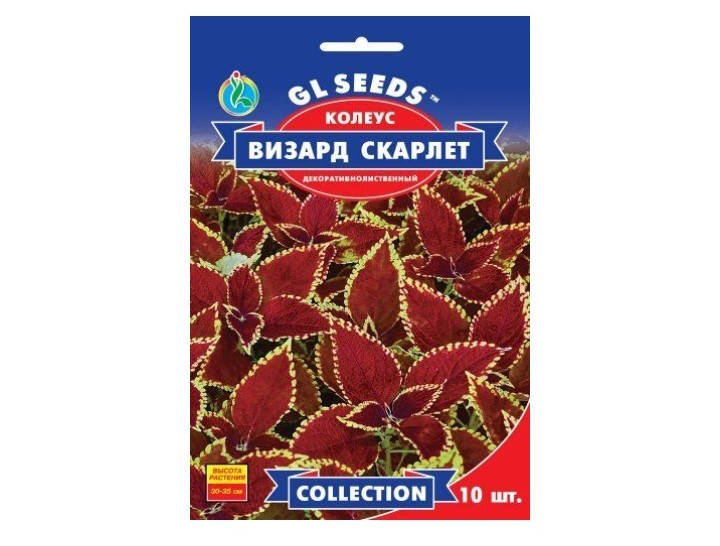 

Колеус Візард Скарлет collection 10шт