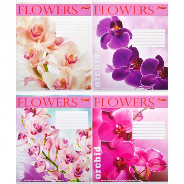 

Тетрадь 12 листов клетка "МРІЇ" / Орхидеи