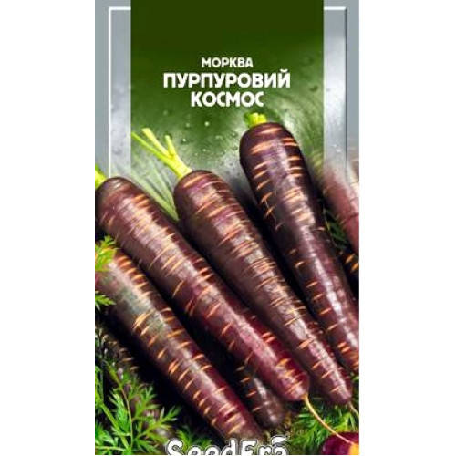 

Семена Морковь Пурпурный Космос 100 семян SeedEra