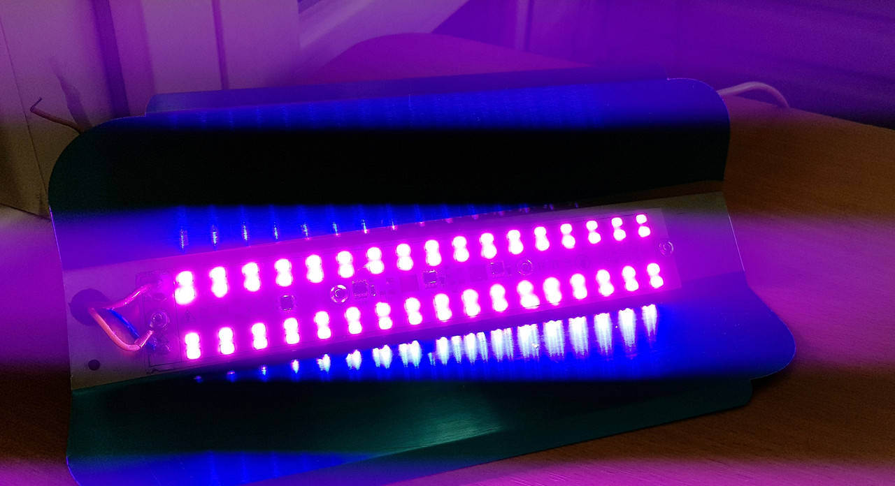 

Фито-лампа вольфрамовая 25W "SunLight"