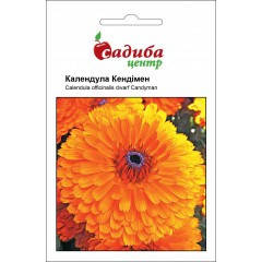 Семена Календула махровая Кендимен 0,2 грамма Hem Zaden, Оранжевый