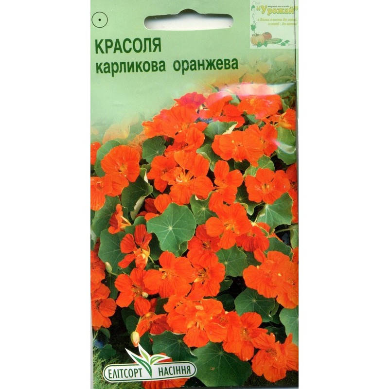 

Семена цветы Настурция карликовая оранжевая, 10 семян, Оранжевый
