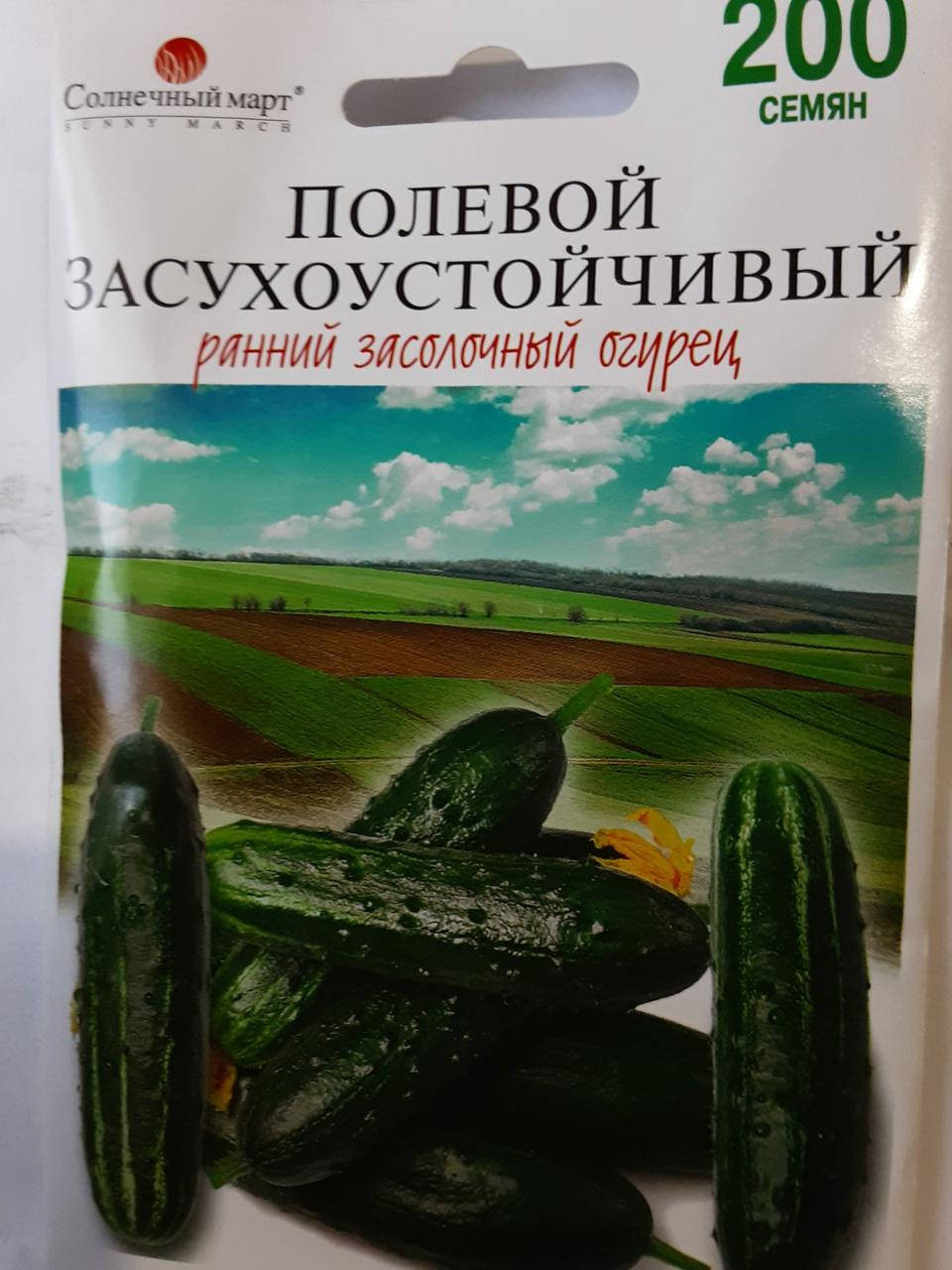 

Огурец Полевой Засухоустойчивый