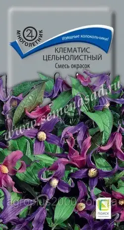 

Семена Клематис Цельнолистный Смесь Окрасок 0,1 грамма Поиск, Разные цвета