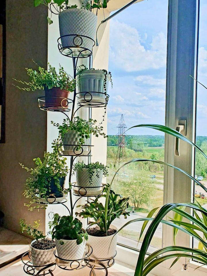 

Подставка для цветов "Дерево на 9 чаш диаметром 15 см"