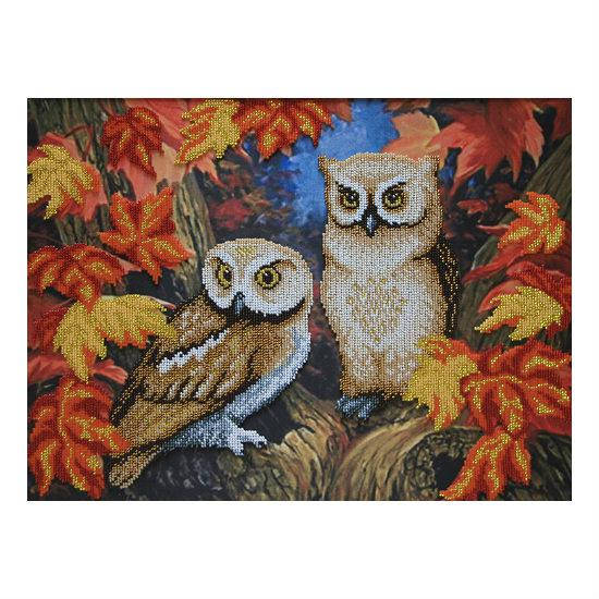 

Набор для вышивания "Совы"