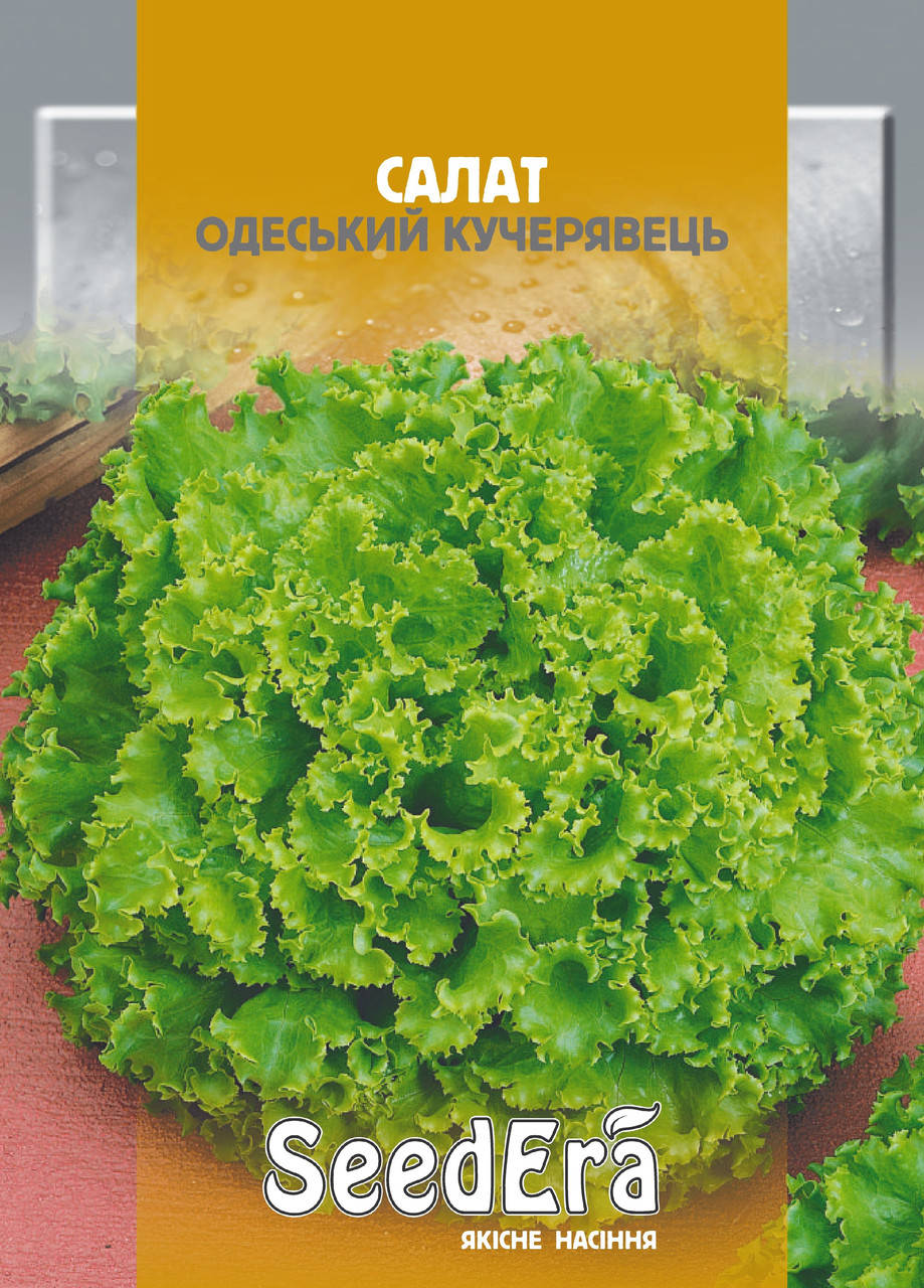 

Салат КУЧЕРЯВЕЦЬ ОДЕСЬКИЙ (листовий) Seedеra, 10 г