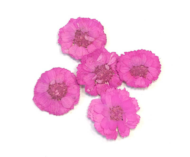 

Сухоцветы №29, Разные цвета