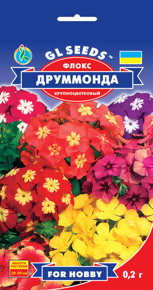 

Флокс Друмонда. Семена 2021 года.