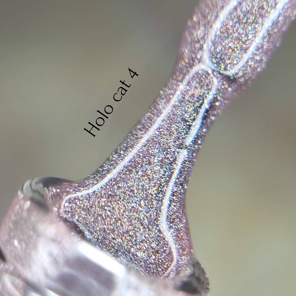

Гель лак кошачий глаз HOLO Cat Eyes №04 10мл