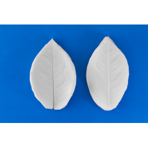 

Вайнер "Лист розы"