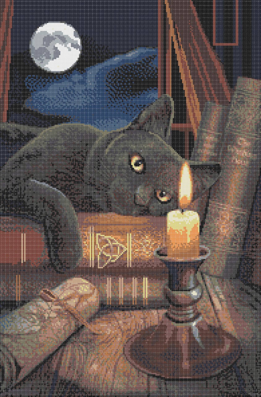 

Черный кот и книги волшебства. Схема полной вышивки бисером