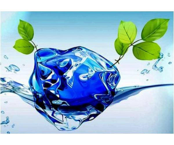 

Омолаживающая цветочная вода,100 мл флакон спрей