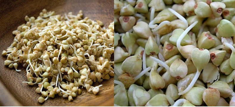 

Зеленая гречка органическая (для проращивания)