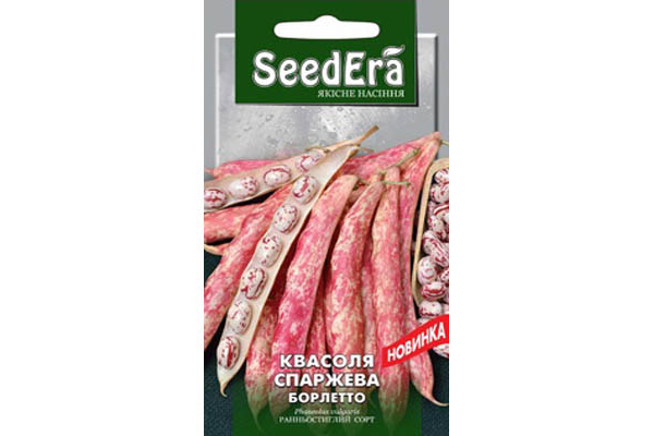 

Семена Фасоль спаржевая кустовая Борлетто 20 граммов SeedEra
