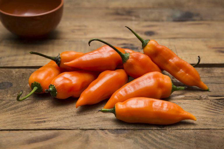 

Семена перца Аджи Амарилло (Aji Amarillo)
