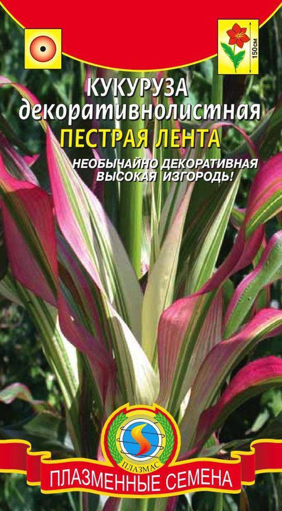 

Кукуруза декоративная Пестрая лента 5 шт (Плазменные семена)
