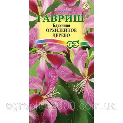 

Семена Баухиния пурпурная Орхидейное дерево 3 сем. Гавриш, Зелёный