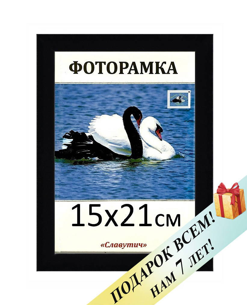 

Фоторамка пластиковая А5 15х21, черная. Рамка для фото дипломов сертификатов грамот. Код 1611-101, Черный