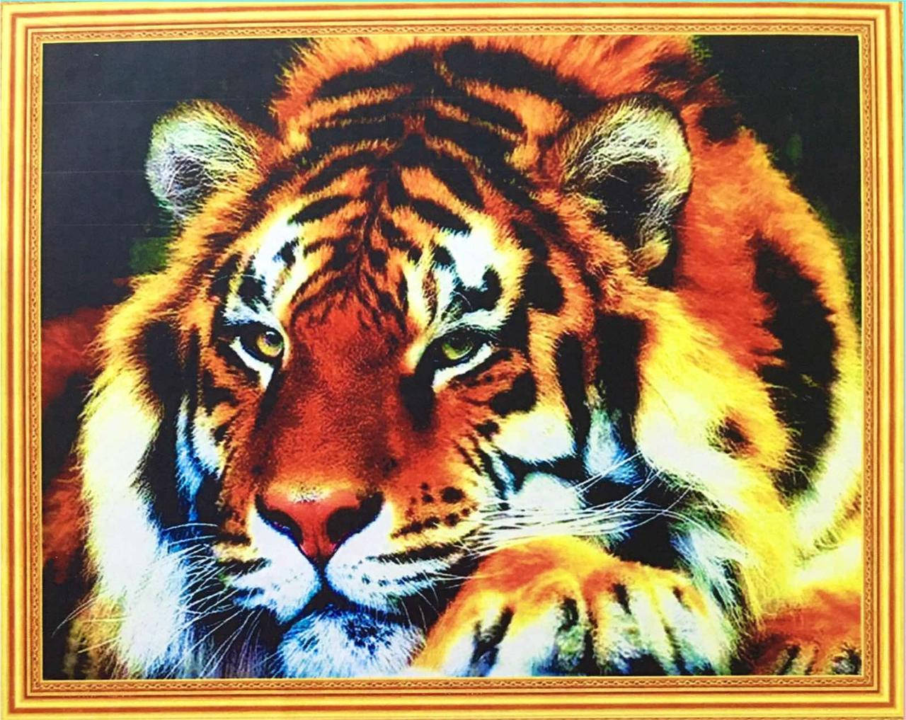 

50*40см Дикий котик, алмазная живопись, полная выкладка