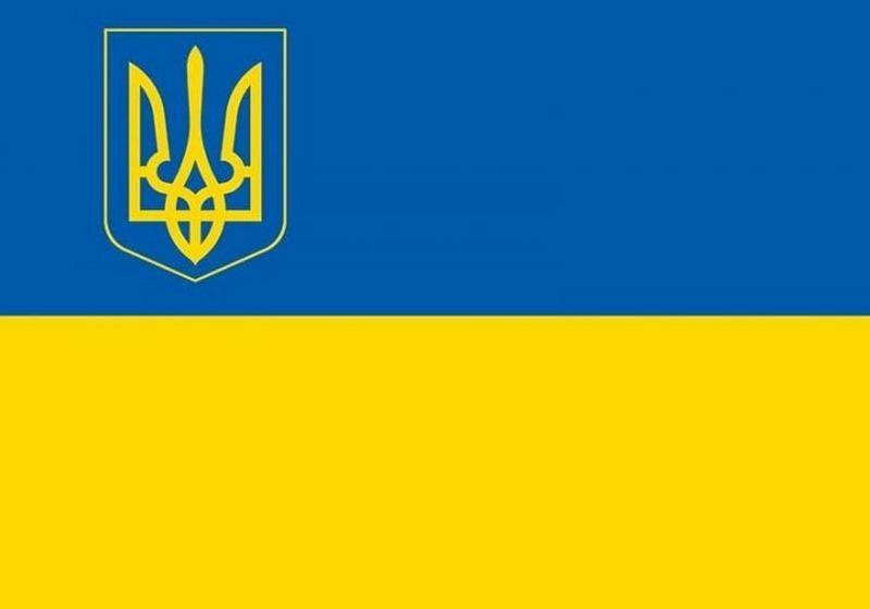 

Флаг Украины с гербом с боку на улицу, на стену 150, 100, Флажная сетка
