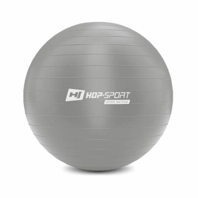 

Фитбол мяч для фитнеса + насос Hop-Sport 65cm HS-R065YB серый