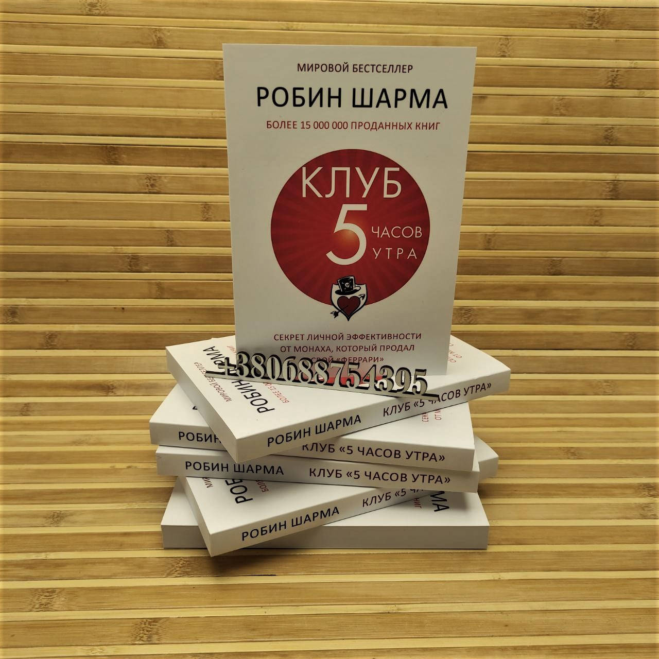 

Клуб 5 часов утра. Секрет личной эффективности от монаха, который продал свой Феррари Робин Шарма