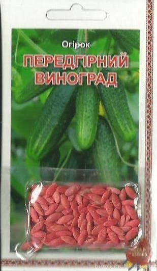 

Инкрустированные семена огурца "Предгорный виноград"